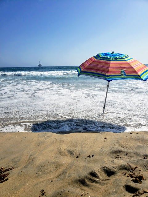 Plage Huntington Dog Beach
